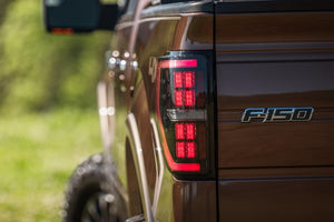 Ford F-150 (09-14): Morimoto XB LED Tails