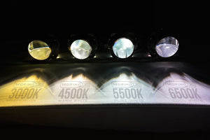D1S: MORIMOTO XB HID