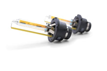 Load image into Gallery viewer, D2S: MORIMOTO XB50 HID