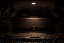 Load image into Gallery viewer, User 1