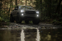 Load image into Gallery viewer, 5202: Morimoto 2Stroke 4.0 LED Bulbs