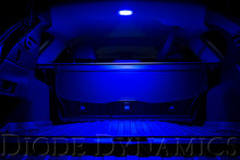 Load image into Gallery viewer, User 5