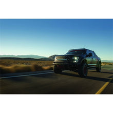 Load image into Gallery viewer, Photo - Mounted