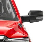 Load image into Gallery viewer, Photo - Close Up