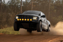 Load image into Gallery viewer, Ford F-150/ Raptor (09-14): Morimoto XB Evo Headlights