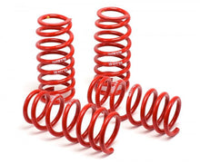 Load image into Gallery viewer, H&amp;R 96-01 Audi A4 Quattro (AWD) B5 Race Spring