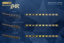 Load image into Gallery viewer, Morimoto Double-Row BangerBar Off-Road LED Light Bar: 10 Pods/ 40.5"