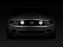 Load image into Gallery viewer, Raxiom 13-14 Ford Mustang GT CCFL Halo Fog Lights (Smoked)